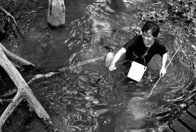 Field Researcher in the Swamp III