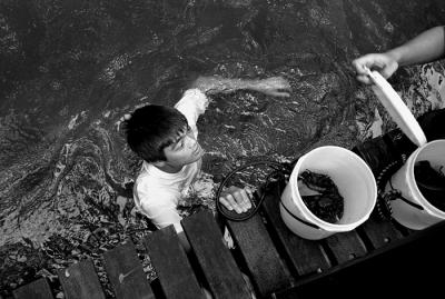 Singapore: Sungei Buloh Wetland Reserve