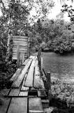 Boardwalk to River Latrine