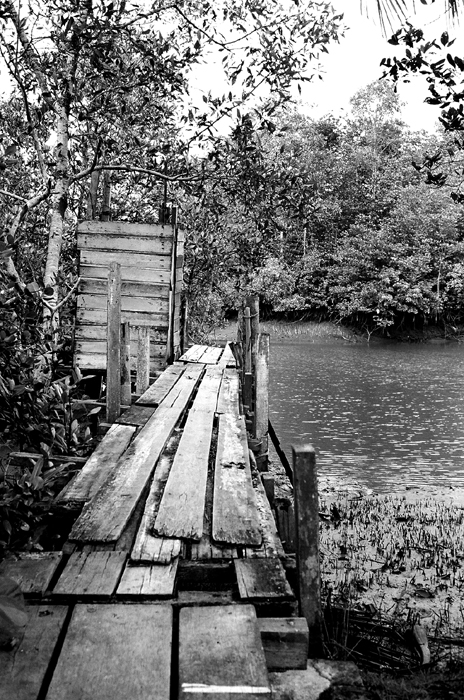 Boardwalk to River Latrine