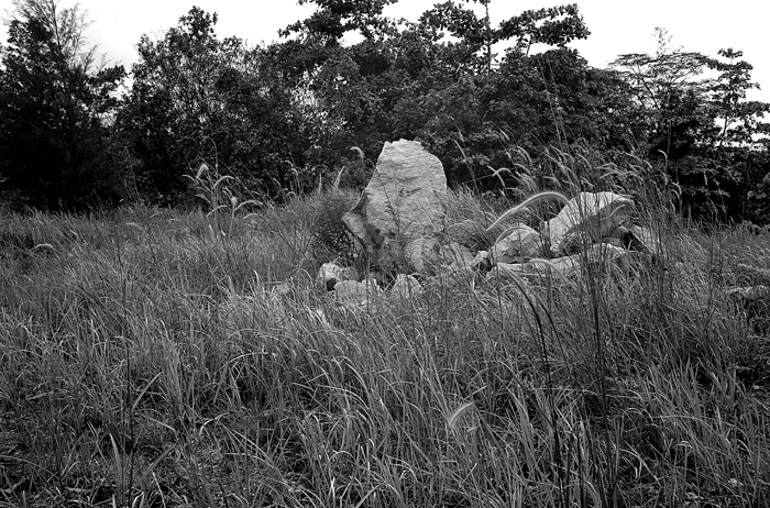 Granite Blocks in the Field