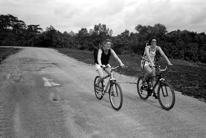 Tourists on Bicycles
