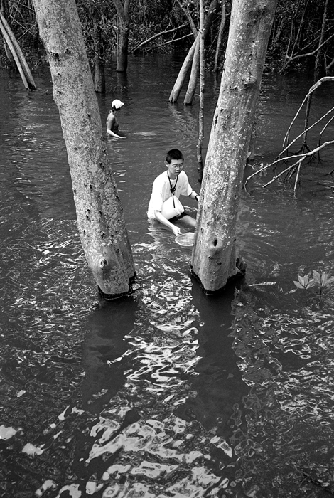 Field Researchers in the Swamp