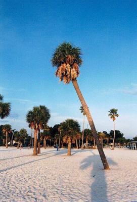 coast key west