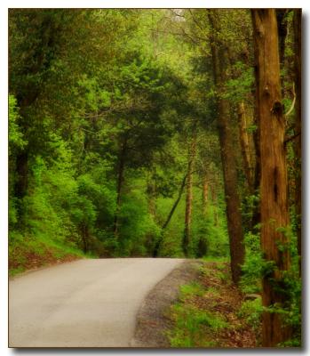 road2705.jpg