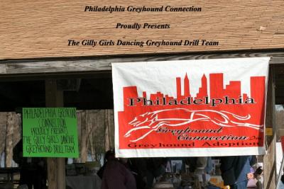 Gilly Girls Dancing Greyhound Drill Team