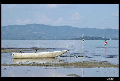 Trasimeno 1