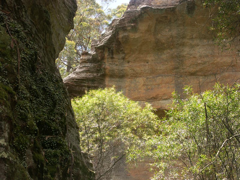 Among the Rocks