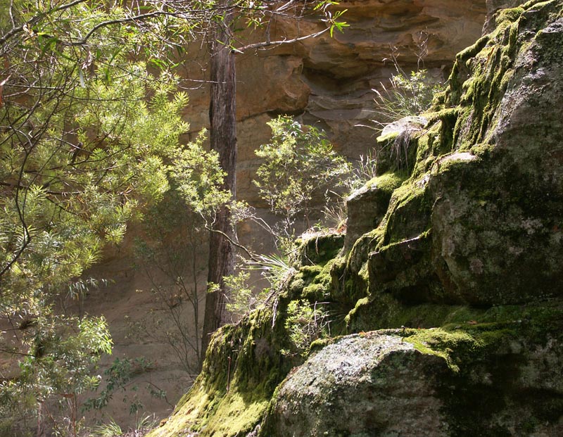 Brief sunlight on sandstone