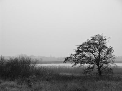 Grey Day in B&W