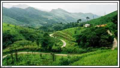 u16/larnhill/medium/38998552.viewthai1.jpg