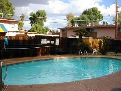 Our Apt's Pool