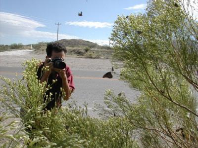 Me Photographing the Butterflies