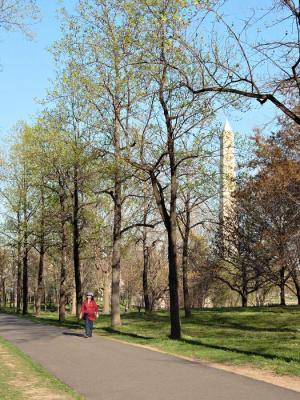 Springtime Walk