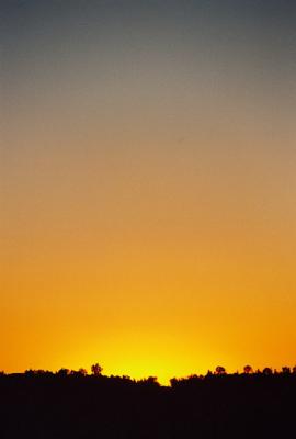 The desert, El Cajon, and Dana Point
