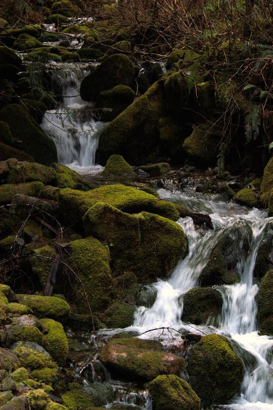 Mountain Stream