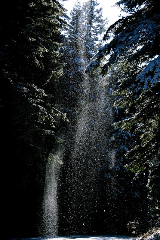 Sparkling Sunbeam<br>Original Image