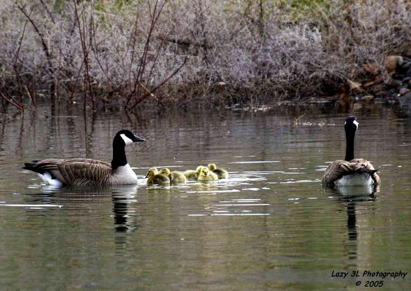 Another set of proud parents