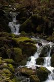 Mountain Stream