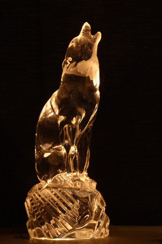 Gold in the Cold<br>Jan 23