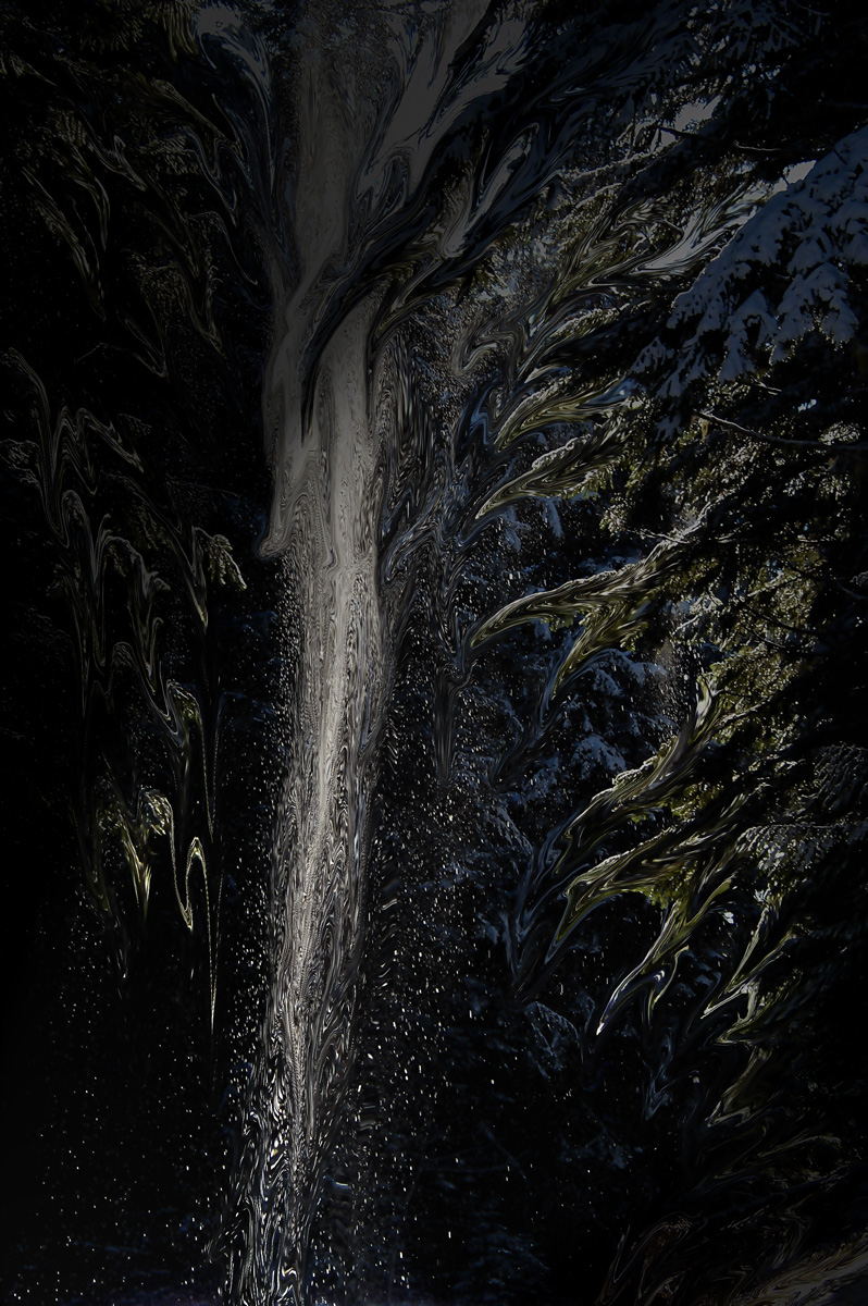 Enchanted Forest<br>Photoshoped Image