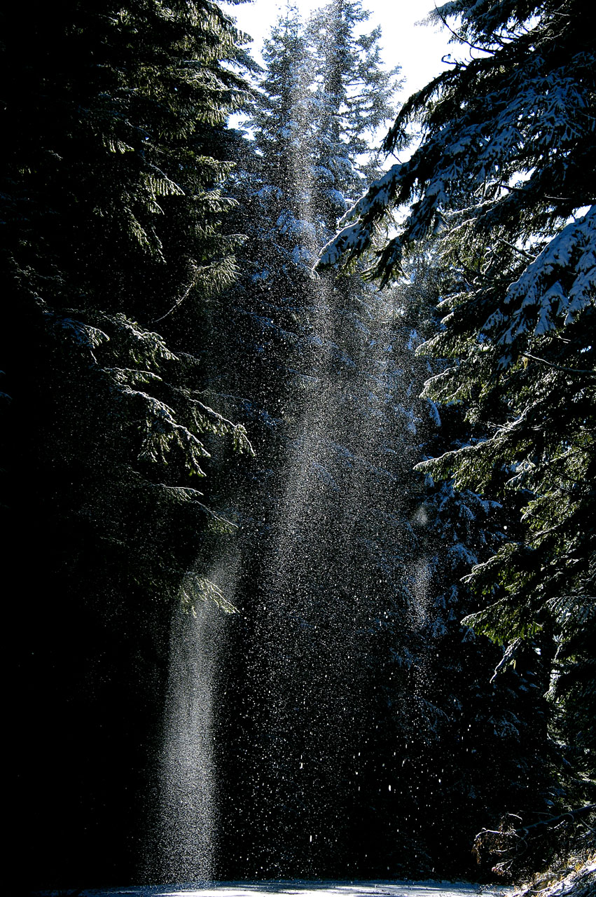 Sparkling Sunbeam<br>Original Image
