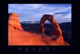 Delicate Arch Poster
