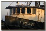 MissJudy3025.jpg