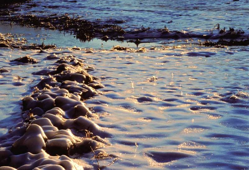 Rachel Carson 2_2_02 #3pr.jpg