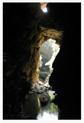 IMG_3897.jpg