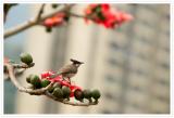 CRW_4182.crw.jpg