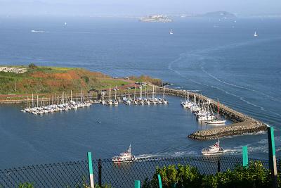 Harbour with Alcatraz in the background