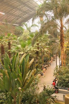 atocha station - what a place