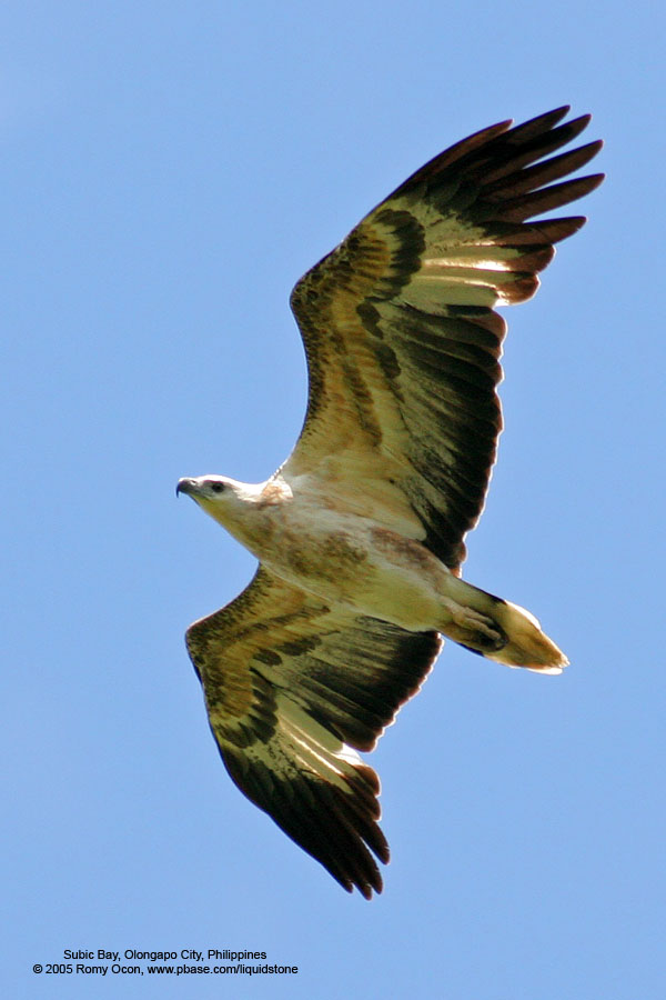 IMG_7507.JPG