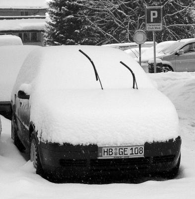 Snow Antennae at Villars