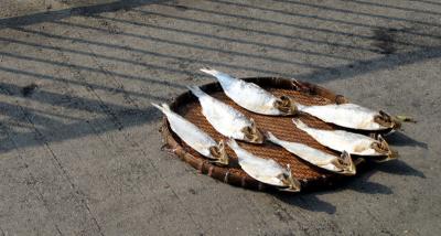Fish drying in the sun... on the sidewalk!
