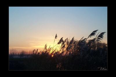 u16/lookheretitia/medium/39054837.0sunsetland026.jpg