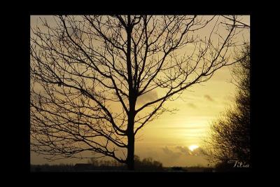 u16/lookheretitia/medium/39055373.0sunsetsky013.jpg