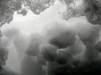 blizzard 05 42.jpg