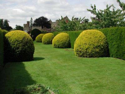 Penshurst_21.jpg