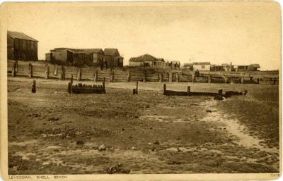 Shell Beach, Leysdown