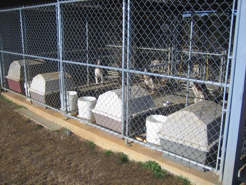 Kennel side.jpg