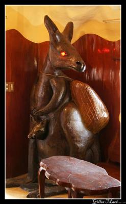 Kangaroo_9899.jpg