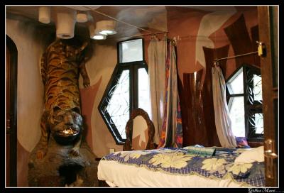 tigre_9934.jpg