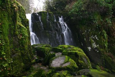 Sweet Creek Falls