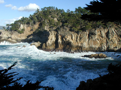 Point Lobos