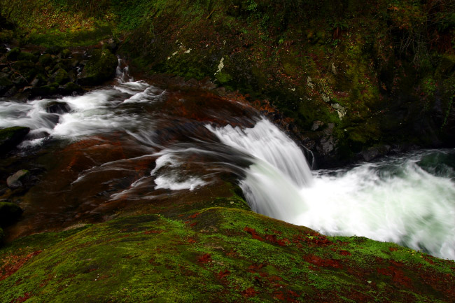 Sweet Creek below Annice Falls