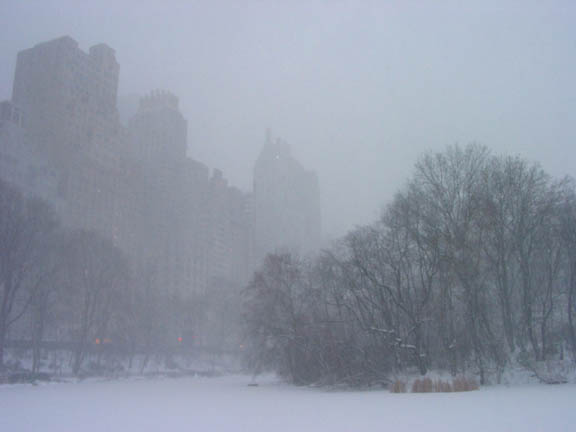 1.22.05 central park 27