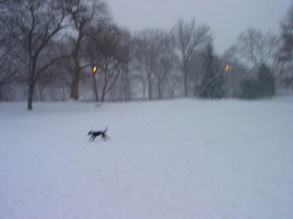 1.22.05 central park 59