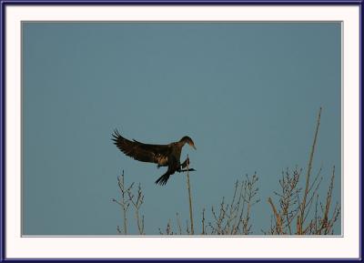 IMG_4078{Q}-after.jpg